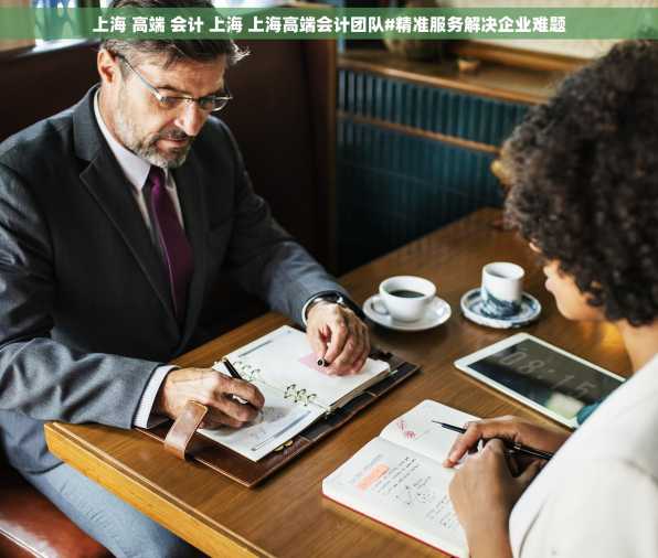 上海 高端 会计 上海 上海高端会计团队#精准服务解决企业难题