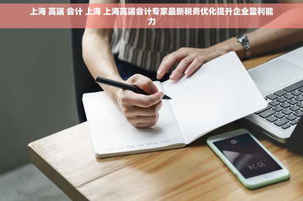 上海 高端 会计 上海 上海高端会计专家最新税务优化提升企业盈利能力