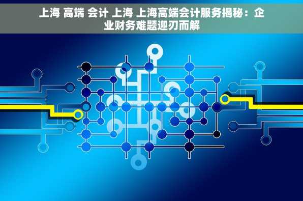 上海 高端 会计 上海 上海高端会计服务揭秘：企业财务难题迎刃而解