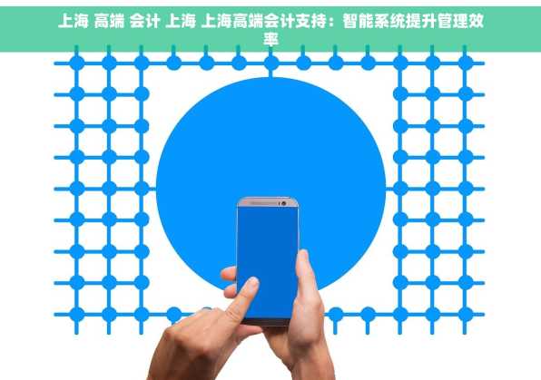 上海 高端 会计 上海 上海高端会计支持：智能系统提升管理效率