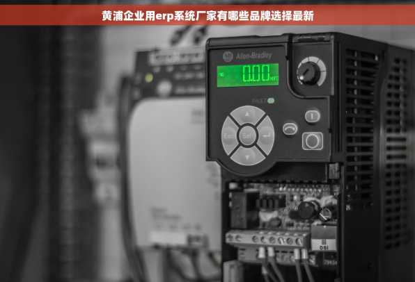 黄浦企业用erp系统厂家有哪些品牌选择最新
