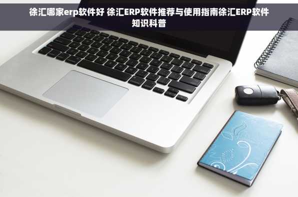徐汇哪家erp软件好 徐汇ERP软件推荐与使用指南徐汇ERP软件知识科普