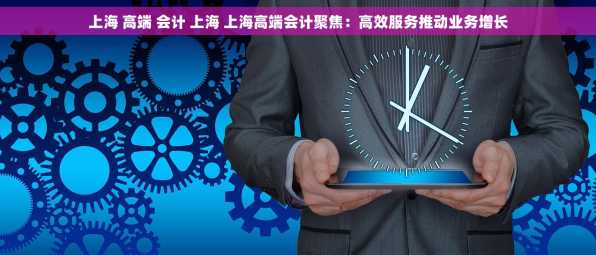 上海 高端 会计 上海 上海高端会计聚焦：高效服务推动业务增长
