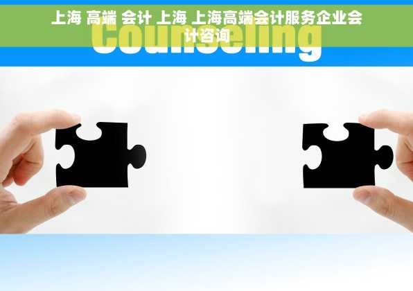 上海 高端 会计 上海 上海高端会计服务企业会计咨询