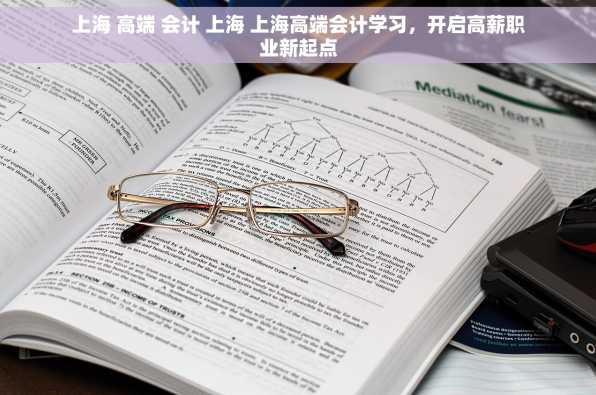 上海 高端 会计 上海 上海高端会计学习，开启高薪职业新起点
