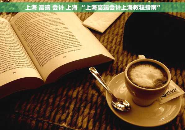 上海 高端 会计 上海 “上海高端会计上海教程指南”