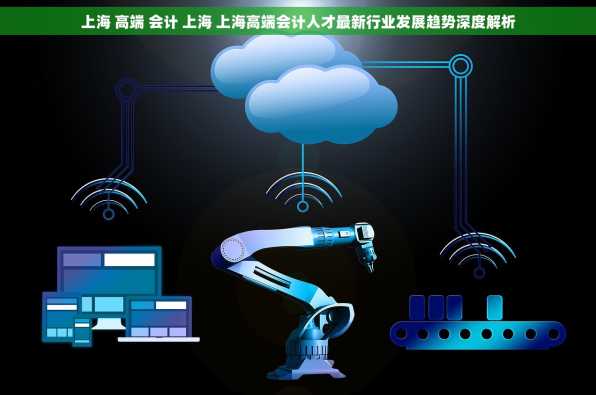 上海 高端 会计 上海 上海高端会计人才最新行业发展趋势深度解析