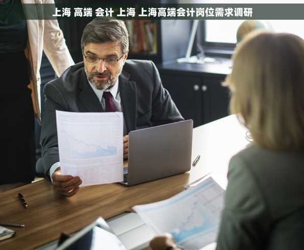 上海 高端 会计 上海 上海高端会计岗位需求调研