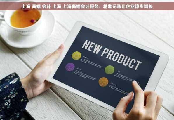 上海 高端 会计 上海 上海高端会计服务：精准记账让企业稳步增长