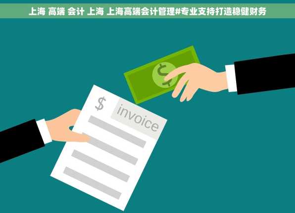 上海 高端 会计 上海 上海高端会计管理#专业支持打造稳健财务