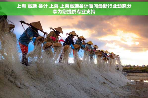 上海 高端 会计 上海 上海高端会计顾问最新行业动态分享为您提供专业支持