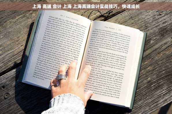 上海 高端 会计 上海 上海高端会计实战技巧，快速成长