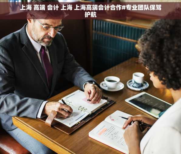 上海 高端 会计 上海 上海高端会计合作#专业团队保驾护航