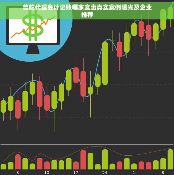 普陀代理会计记账哪家实惠真实案例曝光及企业推荐