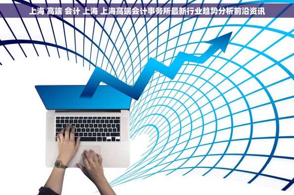 上海 高端 会计 上海 上海高端会计事务所最新行业趋势分析前沿资讯