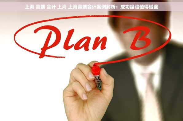 上海 高端 会计 上海 上海高端会计案例解析：成功经验值得借鉴