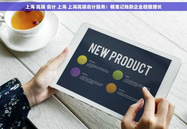 上海 高端 会计 上海 上海高端会计服务：精准记账助企业稳健增长