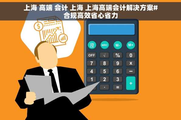 上海 高端 会计 上海 上海高端会计解决方案#合规高效省心省力