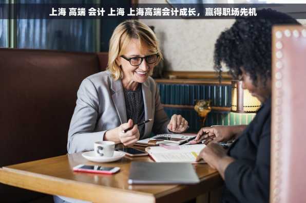 上海 高端 会计 上海 上海高端会计成长，赢得职场先机