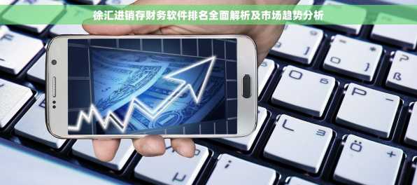 徐汇进销存财务软件排名全面解析及市场趋势分析