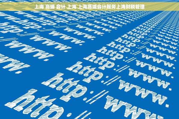 上海 高端 会计 上海 上海高端会计服务上海财税管理