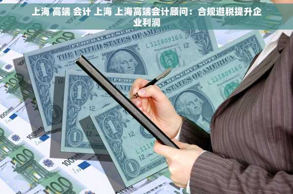 上海 高端 会计 上海 上海高端会计顾问：合规避税提升企业利润