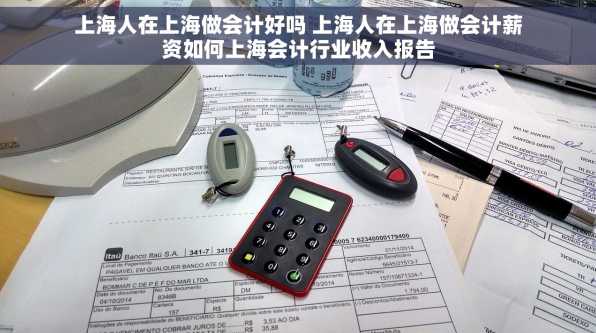 上海人在上海做会计好吗 上海人在上海做会计薪资如何上海会计行业收入报告