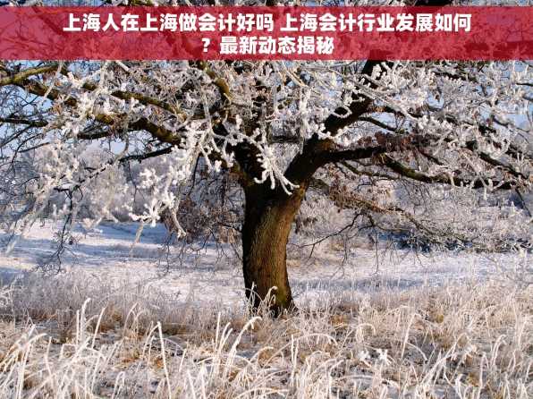 上海人在上海做会计好吗 上海会计行业发展如何？最新动态揭秘