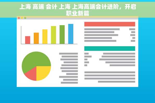 上海 高端 会计 上海 上海高端会计进阶，开启职业新篇