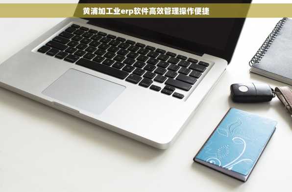 黄浦加工业erp软件高效管理操作便捷