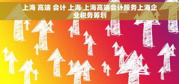 上海 高端 会计 上海 上海高端会计服务上海企业税务筹划