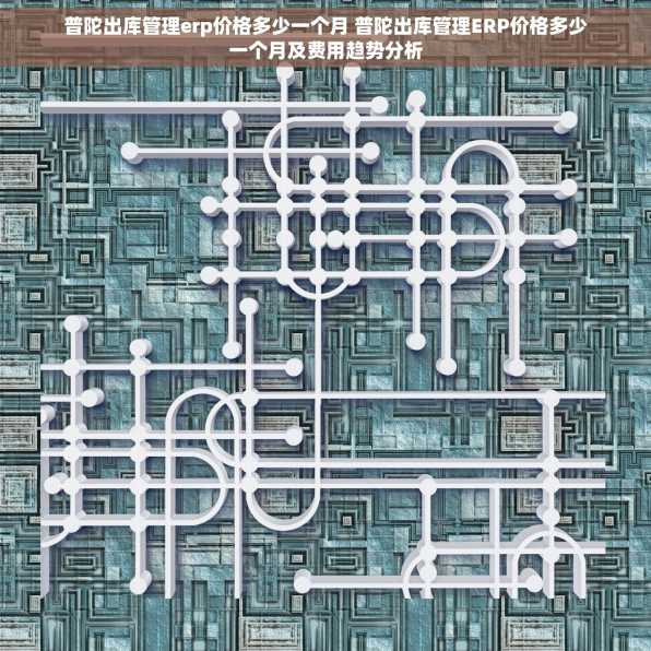 普陀出库管理erp价格多少一个月 普陀出库管理ERP价格多少一个月及费用趋势分析
