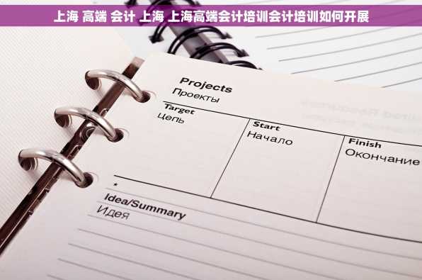 上海 高端 会计 上海 上海高端会计培训会计培训如何开展