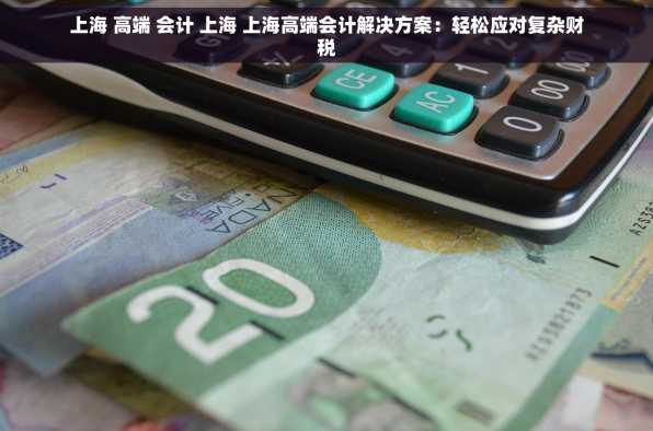 上海 高端 会计 上海 上海高端会计解决方案：轻松应对复杂财税