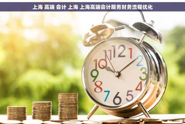 上海 高端 会计 上海 上海高端会计服务财务流程优化