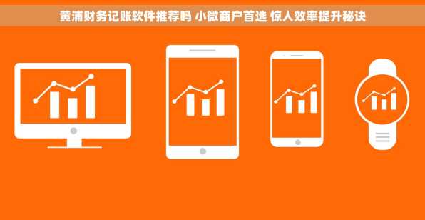 黄浦财务记账软件推荐吗 小微商户首选 惊人效率提升秘诀