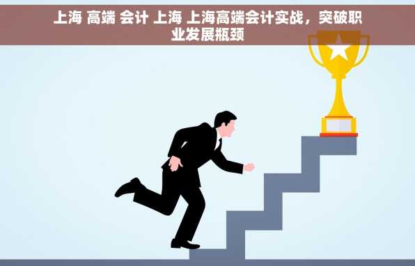 上海 高端 会计 上海 上海高端会计实战，突破职业发展瓶颈