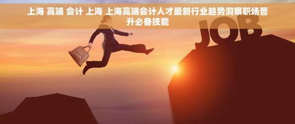 上海 高端 会计 上海 上海高端会计人才最新行业趋势洞察职场晋升必备技能