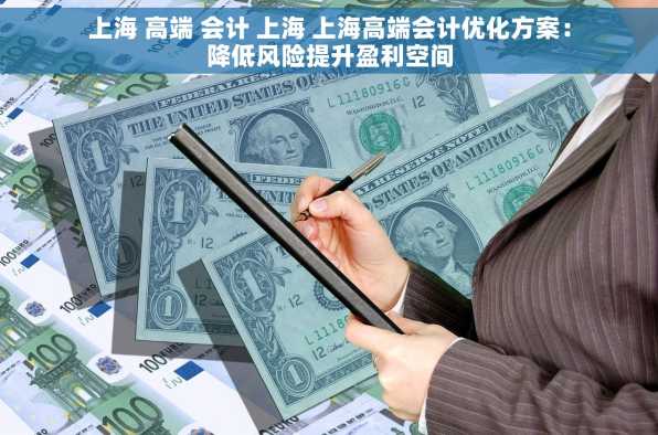 上海 高端 会计 上海 上海高端会计优化方案：降低风险提升盈利空间