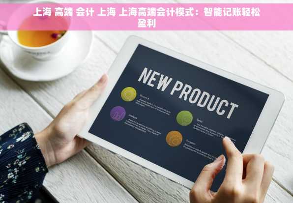上海 高端 会计 上海 上海高端会计模式：智能记账轻松盈利