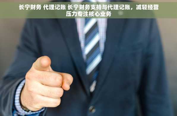 长宁财务 代理记账 长宁财务支持与代理记账，减轻经营压力专注核心业务