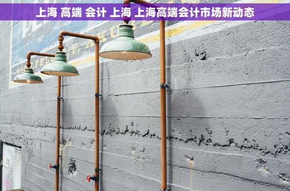上海 高端 会计 上海 上海高端会计市场新动态