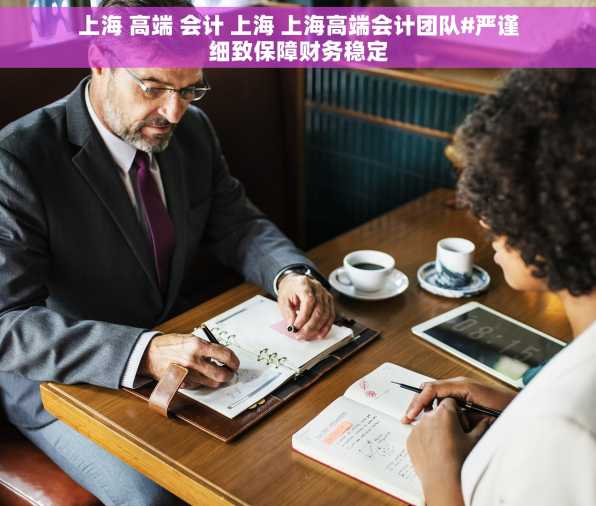 上海 高端 会计 上海 上海高端会计团队#严谨细致保障财务稳定