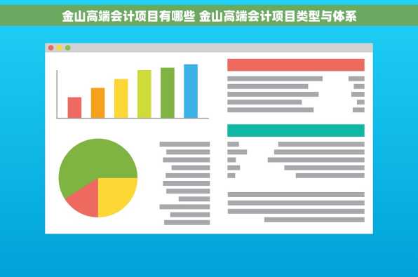 金山高端会计项目有哪些 金山高端会计项目类型与体系