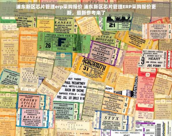 浦东新区芯片管理erp采购报价 浦东新区芯片管理ERP采购报价更新，最新参考来了
