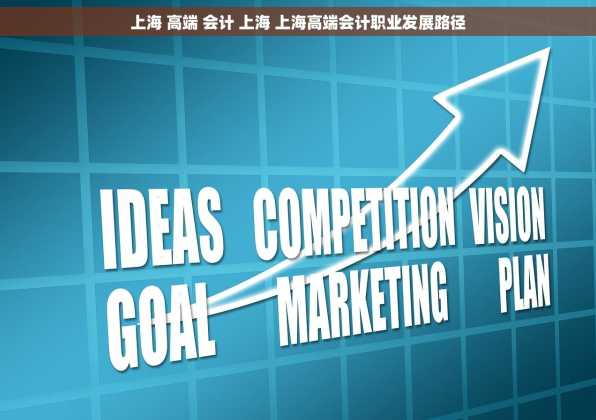 上海 高端 会计 上海 上海高端会计职业发展路径