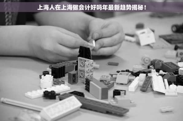 上海人在上海做会计好吗年最新趋势揭秘！