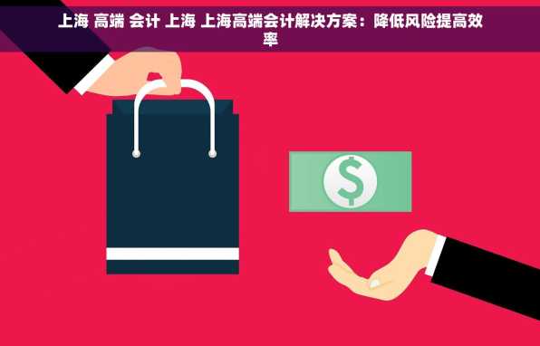 上海 高端 会计 上海 上海高端会计解决方案：降低风险提高效率