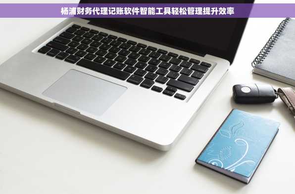 杨浦财务代理记账软件智能工具轻松管理提升效率