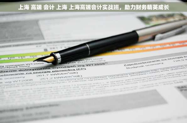 上海 高端 会计 上海 上海高端会计实战班，助力财务精英成长